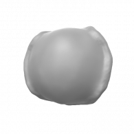 3d model - shell better