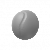 3d model - NEW SHELLL