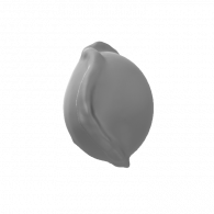 3d model - NEW SHELLL #2