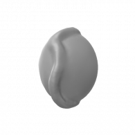 3d model - NEW SHELLL #3