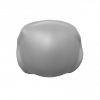 3d model - NEW SHELLL #4