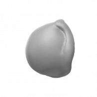 3d model -  SHELL #5