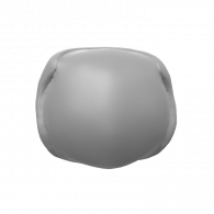 3d model -  SHELL #13