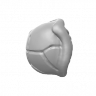 3d model -  SHELL #14