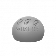 3d model - wesley