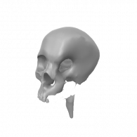 3d model - cranio trabalhado