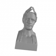 3d model - Napoleon Bust