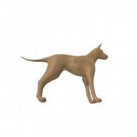 3d model - Basic Dog