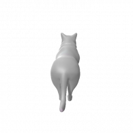 3d model - cat
