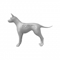 3d model - Basic Dog