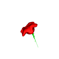 3d model - My fail of a rose