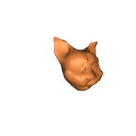 3d model - CAT POLY 2000