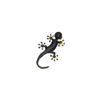 3d model - szalamandra