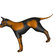 3d model - Dog for science class