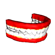 3d model - Tooth