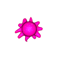 3d model - polip