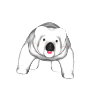 3d model - bear 3