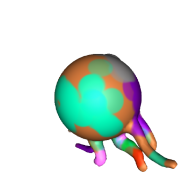 3d model - paca