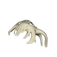 3d model - Ring Beast