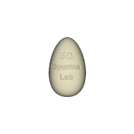 3d model - 3DGyurmaLab