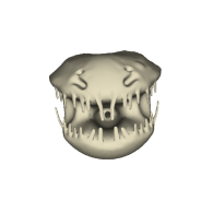 3d model - Hiver head