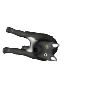 3d model - Wolf