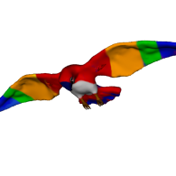 3d model - ara parrot