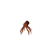 3d model - Octopus