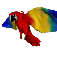 3d model - Parrot with frozen legs