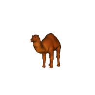 3d model - camel lopoly