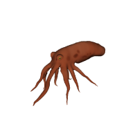 3d model - octopus lopoly