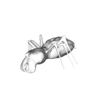 3d model - smiling ant lopoly