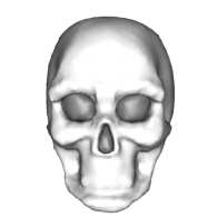 3d model - skull1