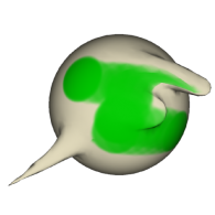 3d model - gömböcske