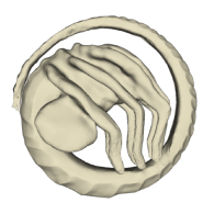 3d model - Facehugger