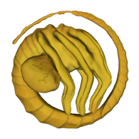 3d model - Facehugger