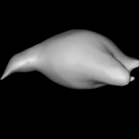 3d model - PENGUIN