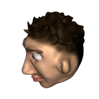 3d model - Head