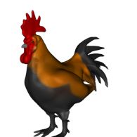 3d model - Colored Rooster
