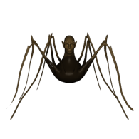 3d model - spiderman