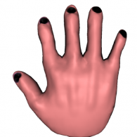 3d model - hand whit black fingernails