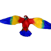 3d model - RainBow Parrot