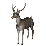 3d model - dear deer
