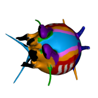 3d model - fish1516