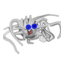 3d model - Koszür oroszlán