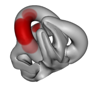 3d model - knot
