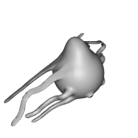 3d model - squid 2