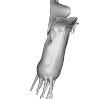 3d model - squid