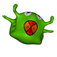 3d model - BONGOR