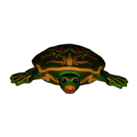 3d model - cukika teknős